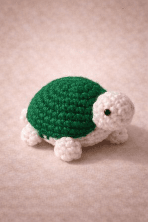 Crochet Turtle (Home Decor)